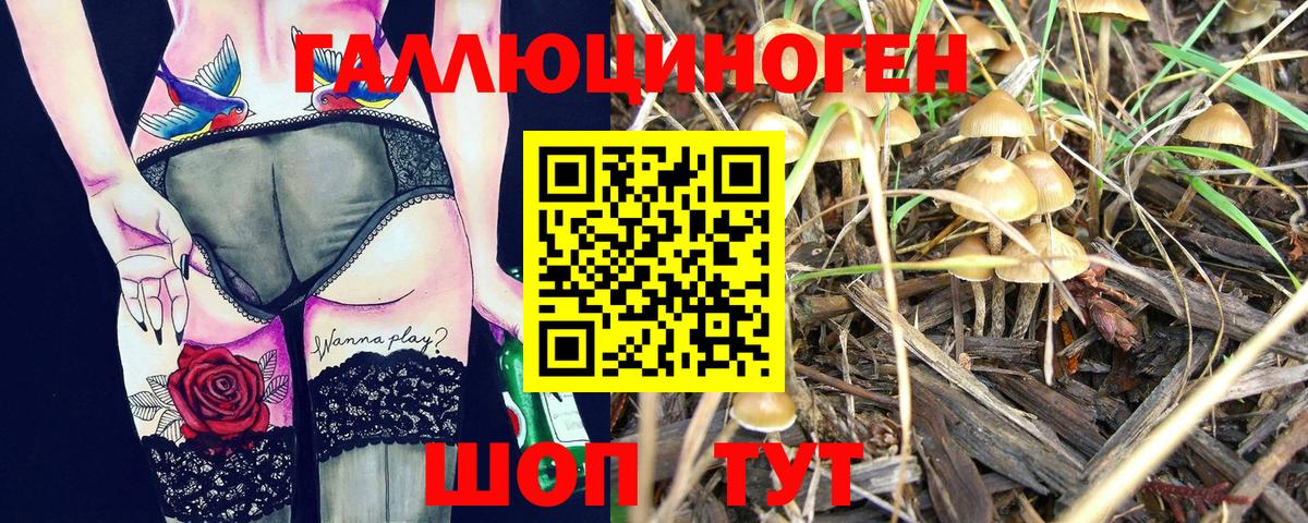 Псилоцибиновые грибы мицелий Амурск
