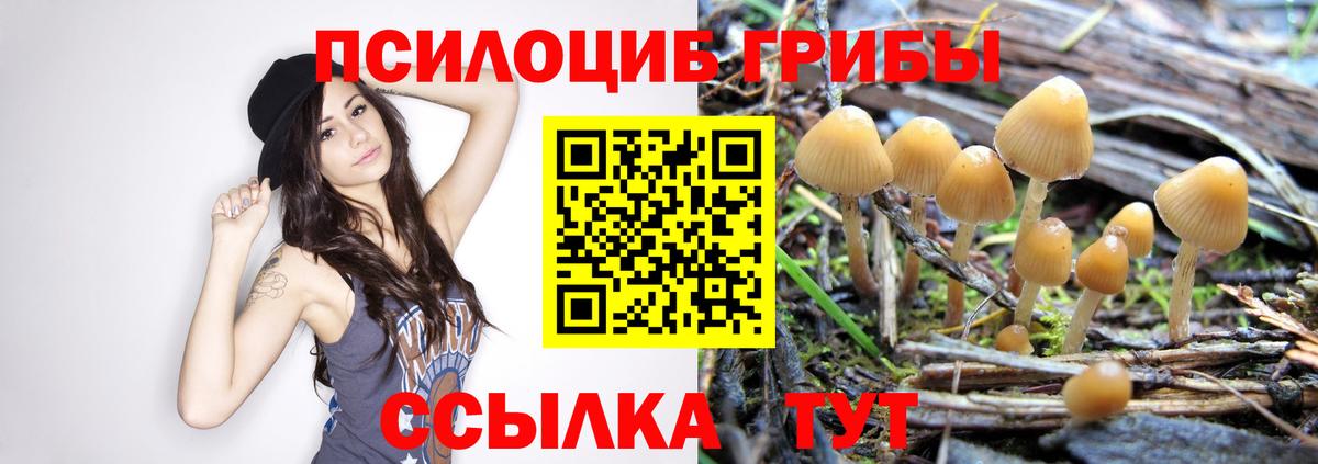 Галлюциногенные грибы ЛСД  Галлюциногенные грибы мухоморы  Вход с VPN  Амурск 